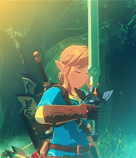 zelda botw gifs